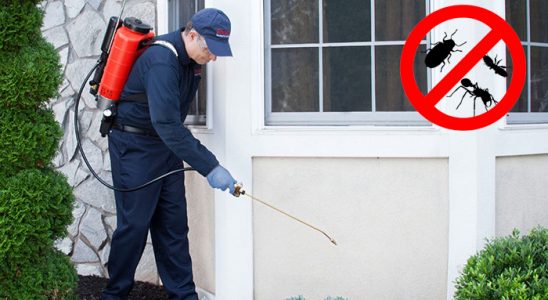 Etimesgut Tahtakurusu İlaçlama böcek ilaçlama ve haşere kontrolü — ilaclama-tr.com